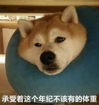 跨年狂歡，開業(yè)有禮，來氧樂仕解鎖新玩法！