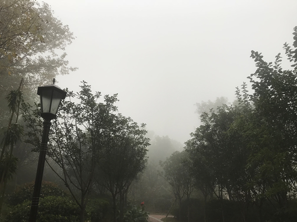 這樣的“仙境”，不要也罷！