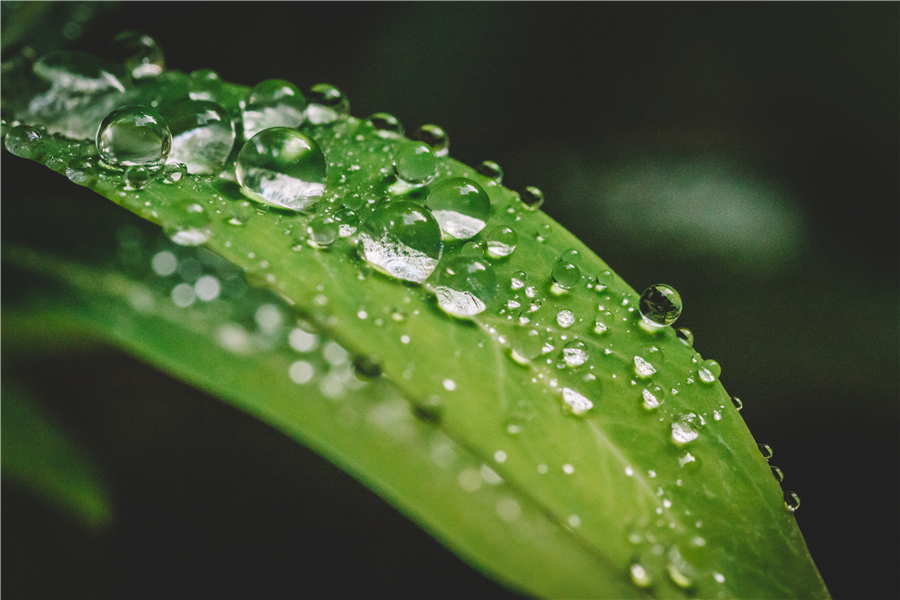 當(dāng)三伏天遇上暴雨，這些防潮措施要做好！