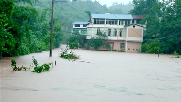 暴雨頻頻“上線”，家里墻面受潮發(fā)霉怎么辦？