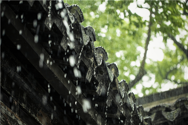 暴雨頻頻“上線”，家里墻面受潮發(fā)霉怎么辦？
