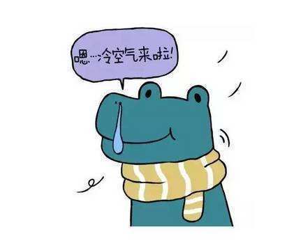 實力派冷空氣再度上線，換上這些裝飾讓家更溫暖！