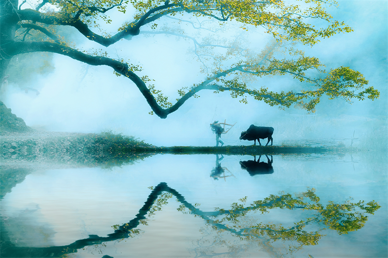 清明節(jié)︱緬懷過去，珍惜當(dāng)下！