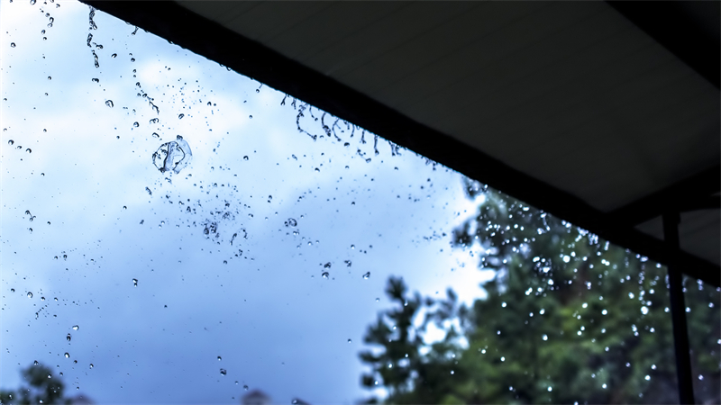 雨水節(jié)氣︱和風(fēng)攜細(xì)雨，萬物喚春歸