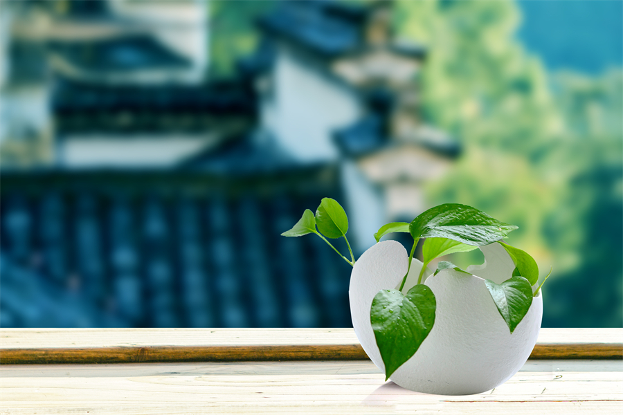 立夏節(jié)氣︱盼夏來(lái)迎暑，萬(wàn)物發(fā)生機(jī)